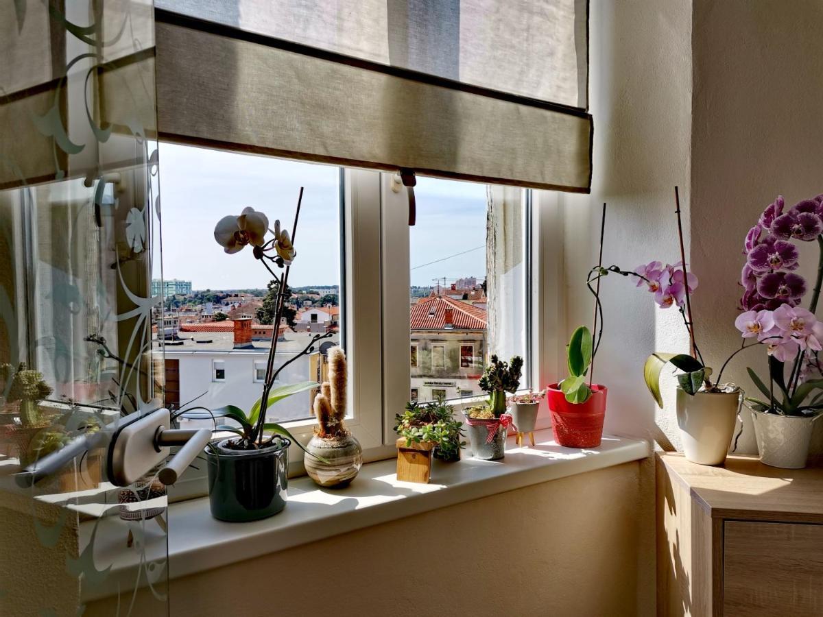 Apartment Andreas - Amphitheater - 普拉 外观 照片